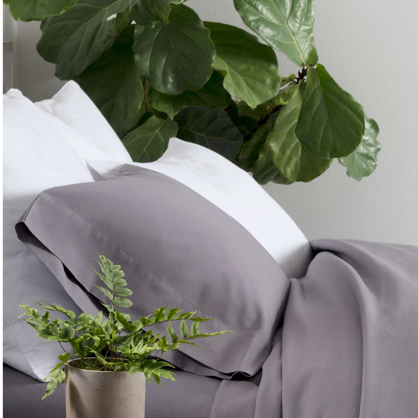 EssentialPercaleWhiteSham_PC1549_product_list